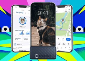 Чорна п’ятниця 2025: знижки, баги та проблеми з працівниками