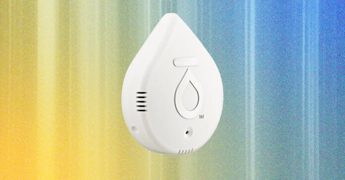 bd6355c2-08c6-41fe-8506-124e3ffc8a10