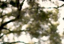 AI-агенти: Нова одержимість технологічного світу