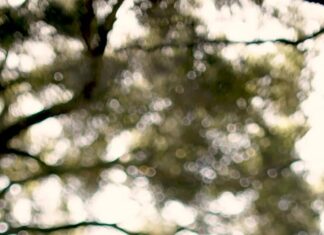 AI-агенти: Нова одержимість технологічного світу