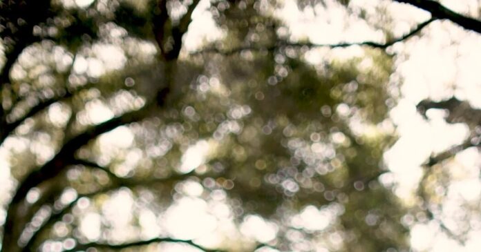 20892b62-27e1-4282-91ff-f8a28bdfbd18