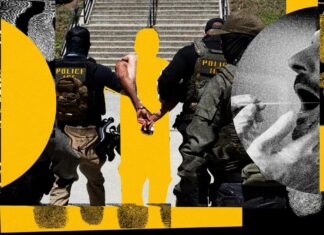 Чому база даних ДНК ICE тепер містить майже мільйон профілів